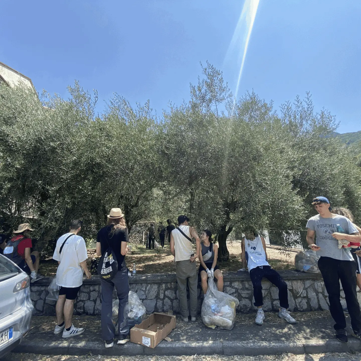 Immagine della giornata