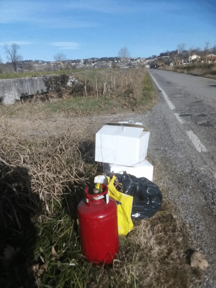 Immagine della giornata