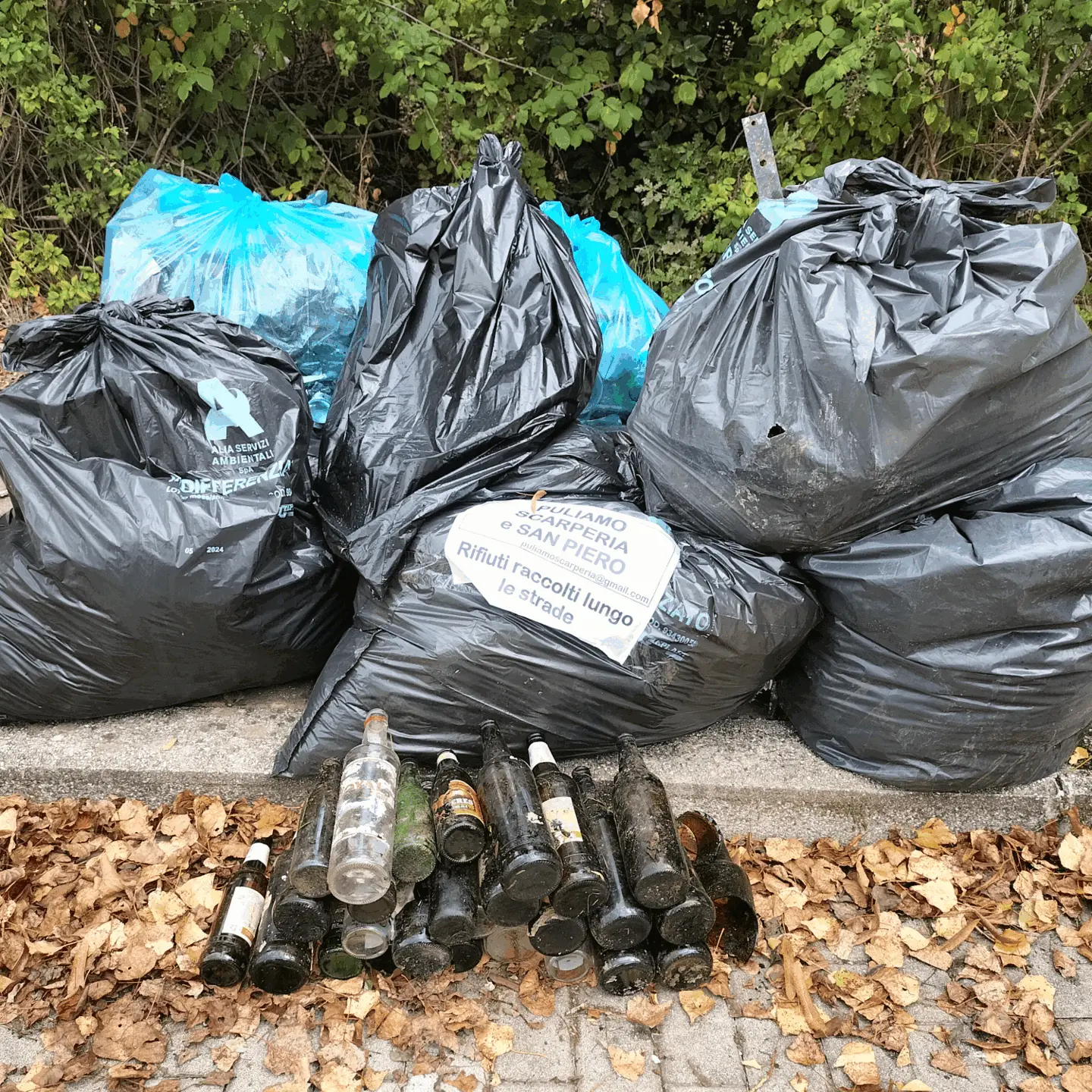 Immagine della giornata