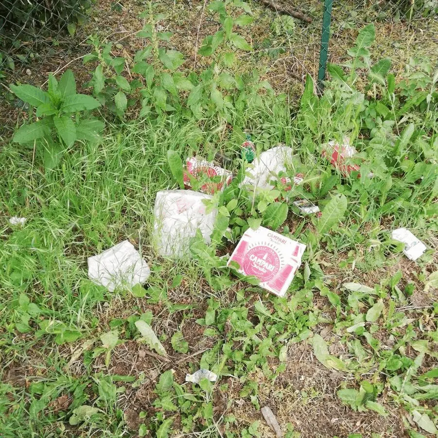 Immagine della giornata