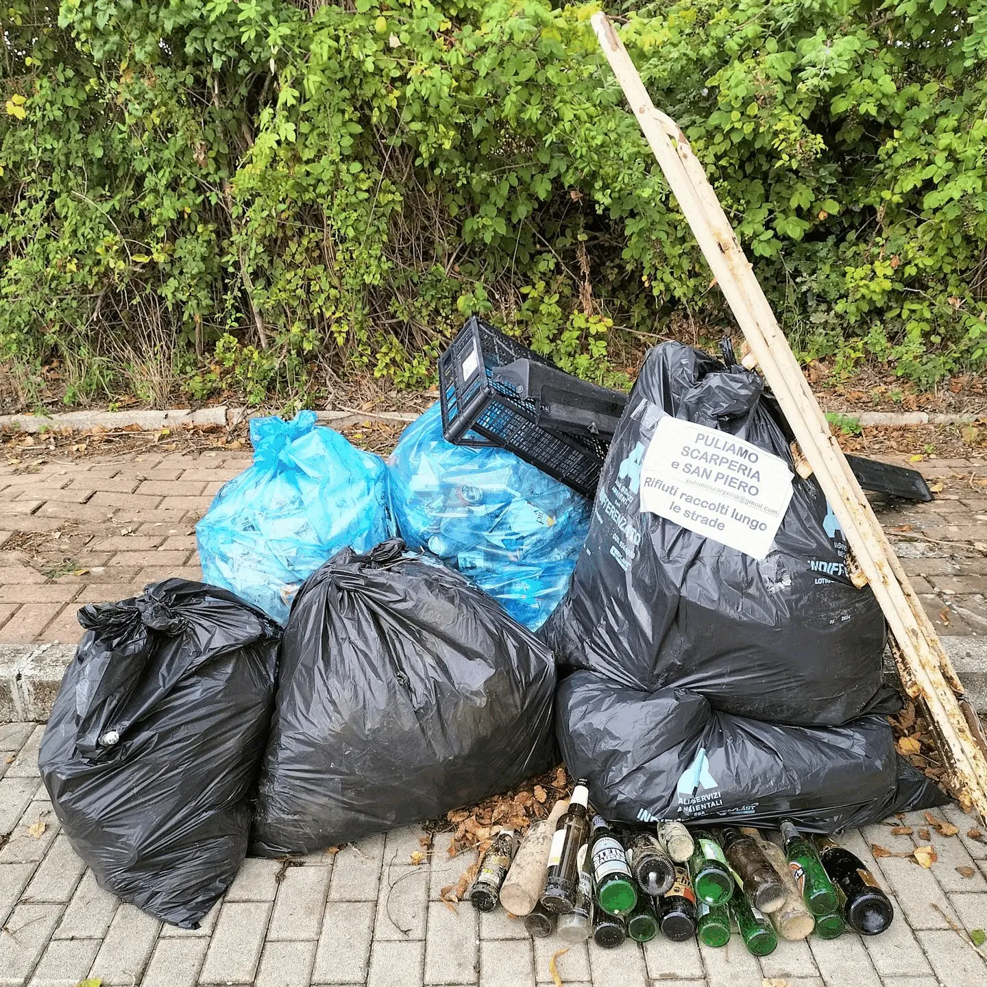 Immagine della giornata