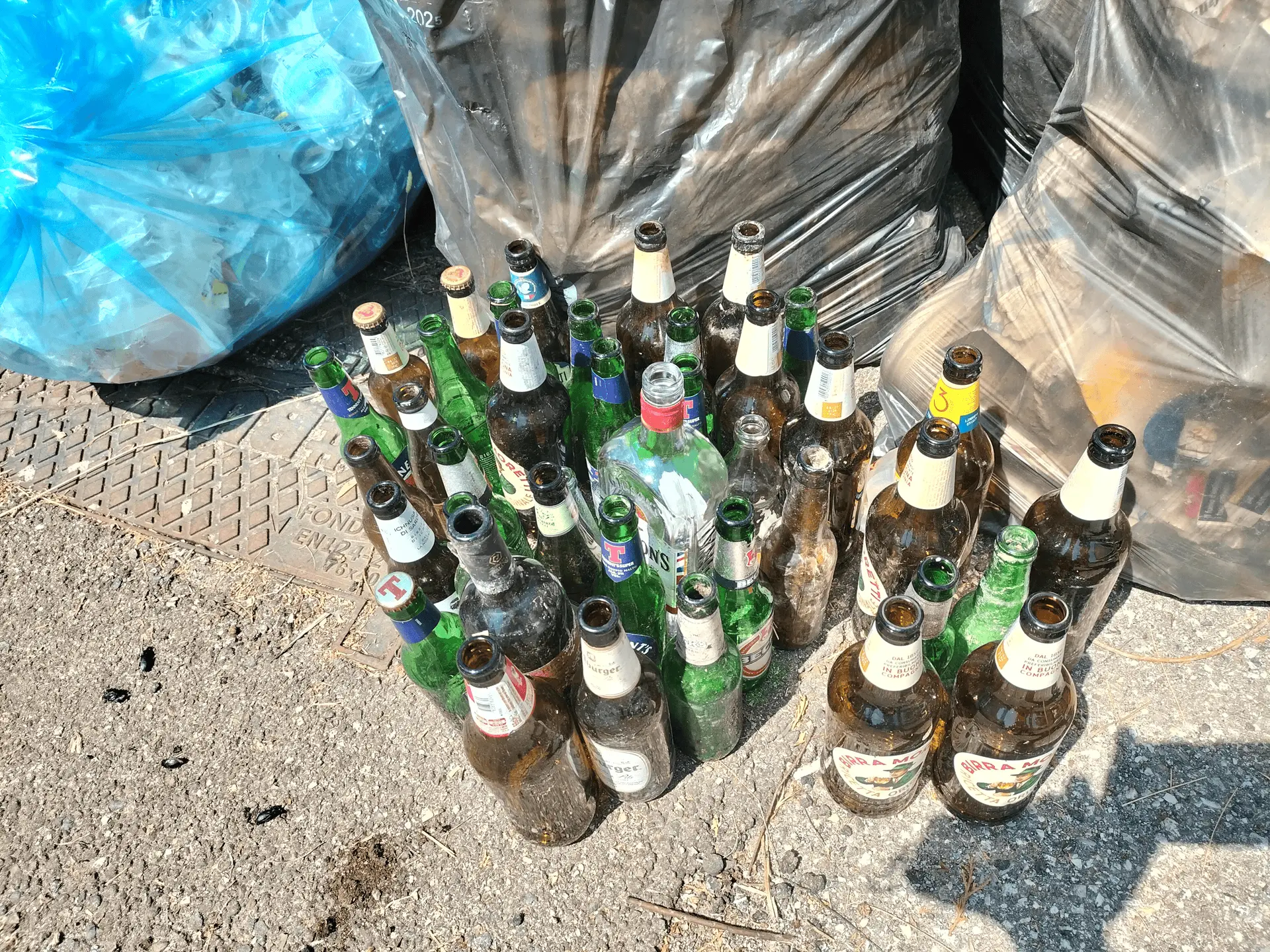 Immagine della giornata