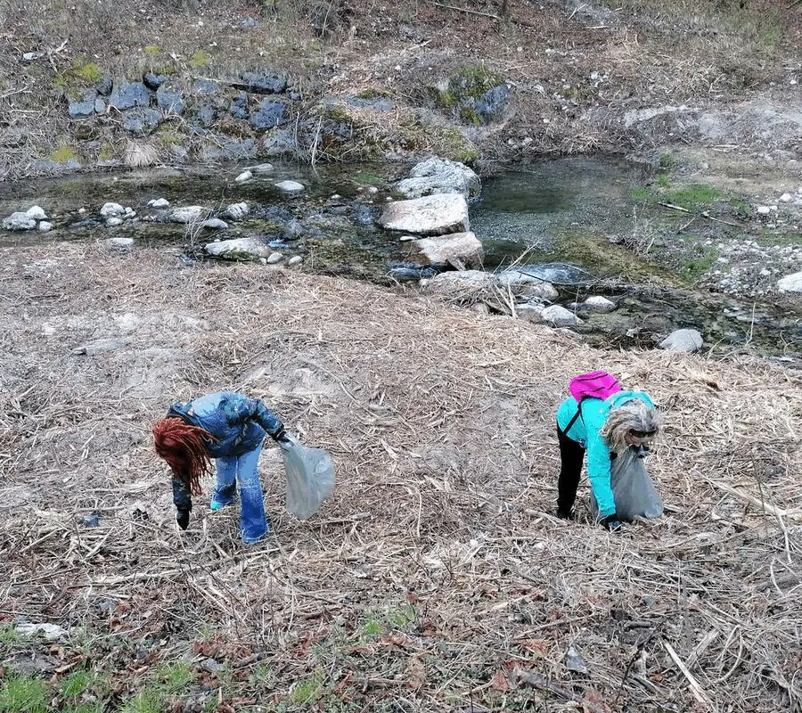 Immagine della giornata