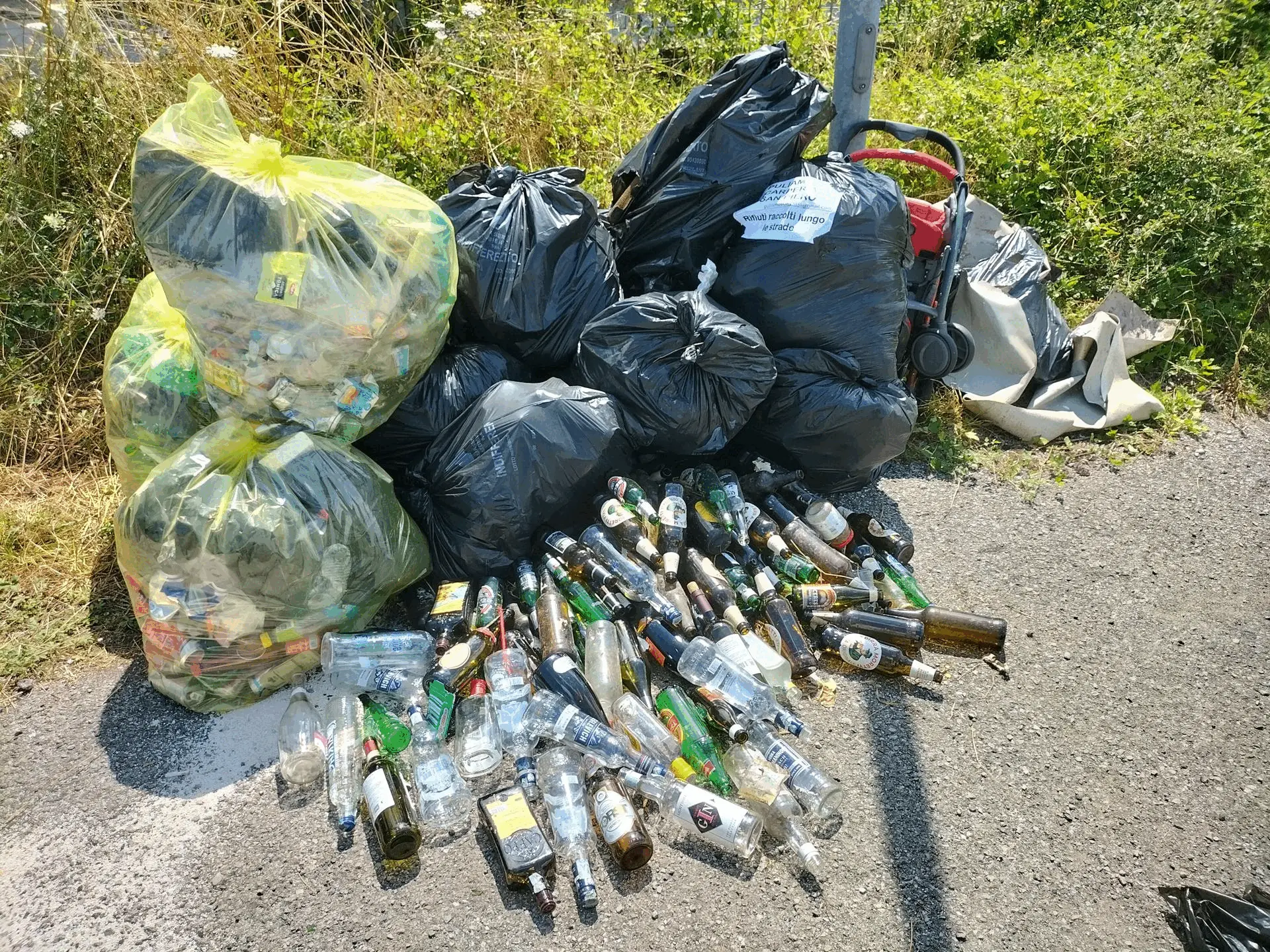 Immagine della giornata