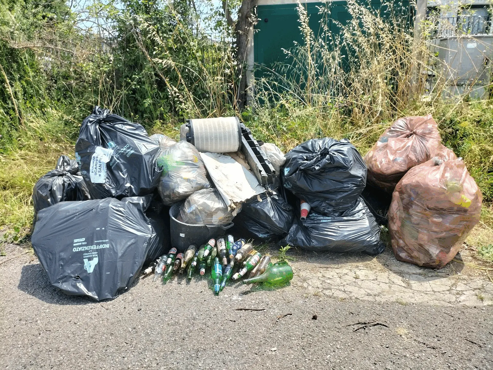 Immagine della giornata