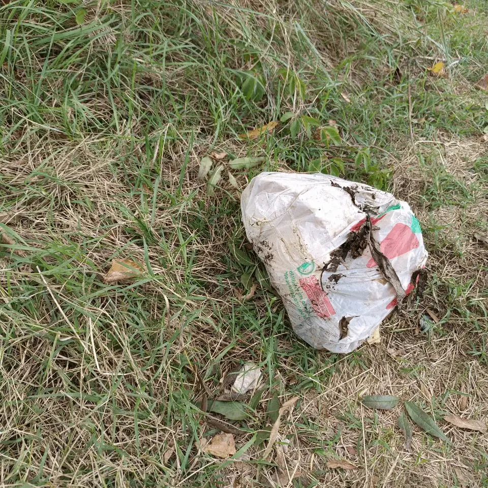 Immagine della giornata