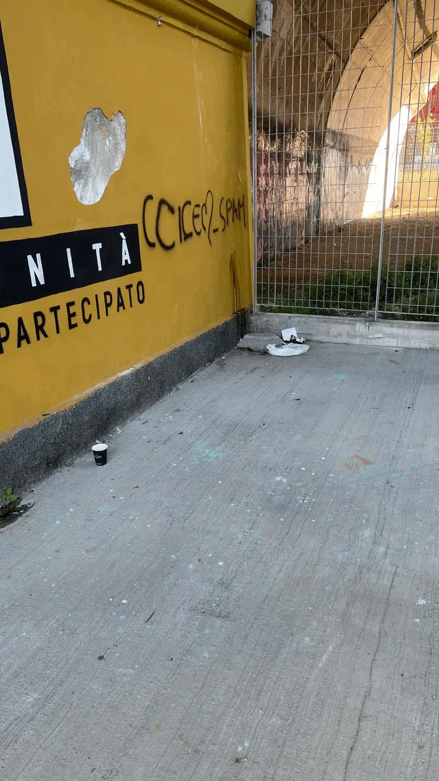Immagine della giornata