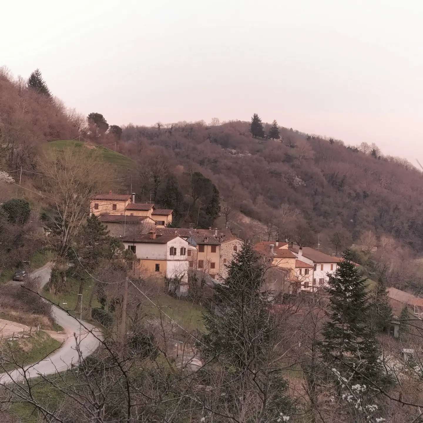 Immagine della giornata
