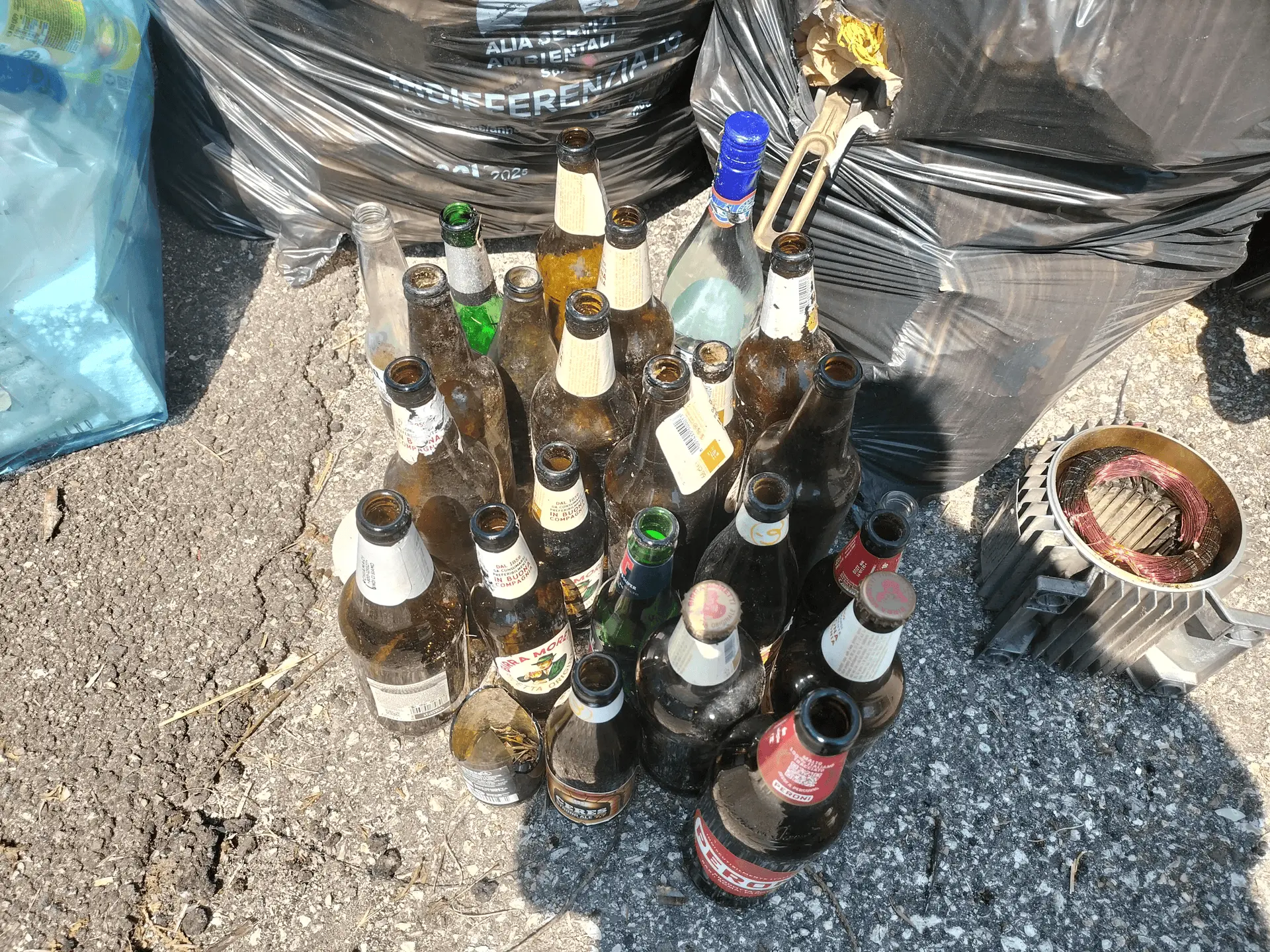 Immagine della giornata