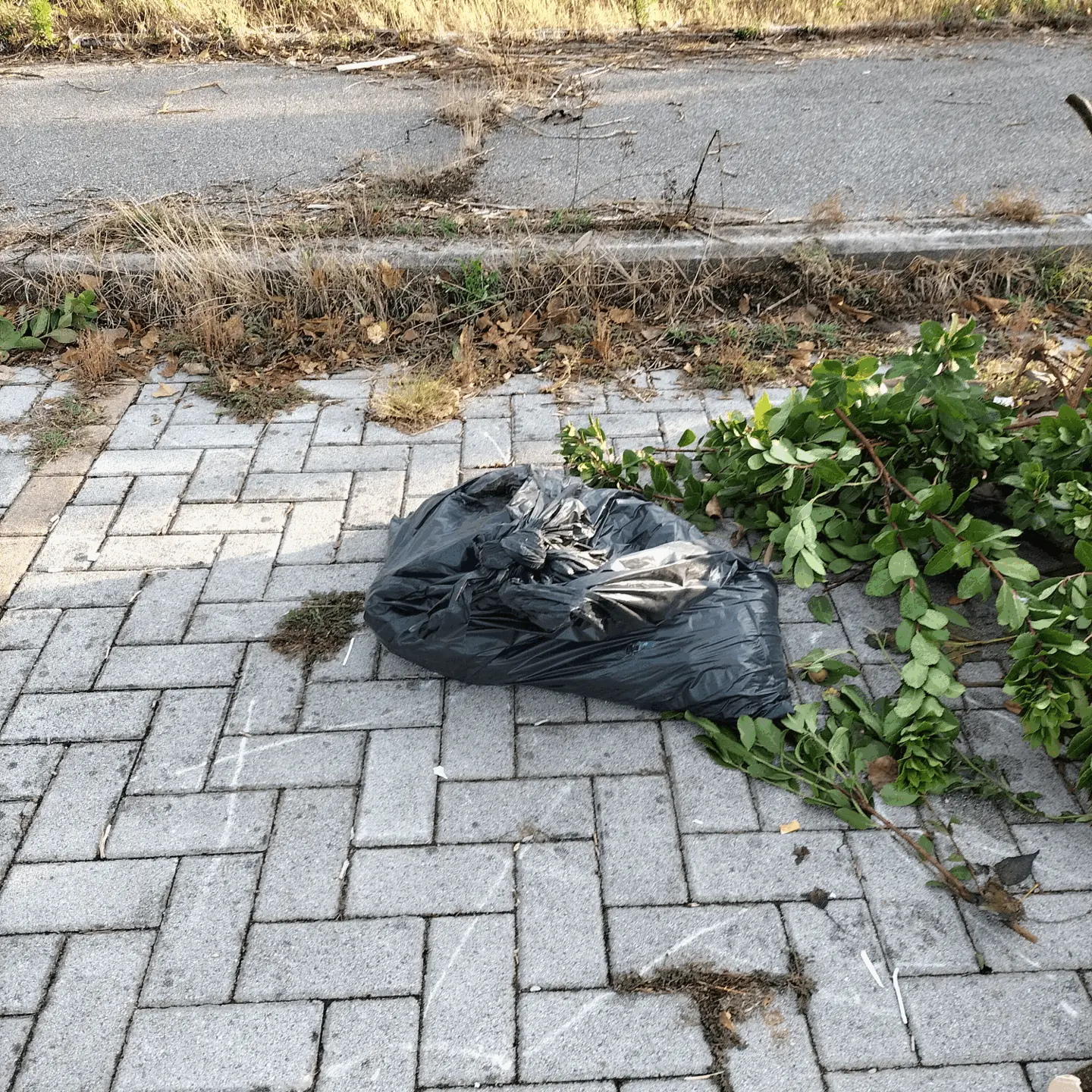 Immagine della giornata