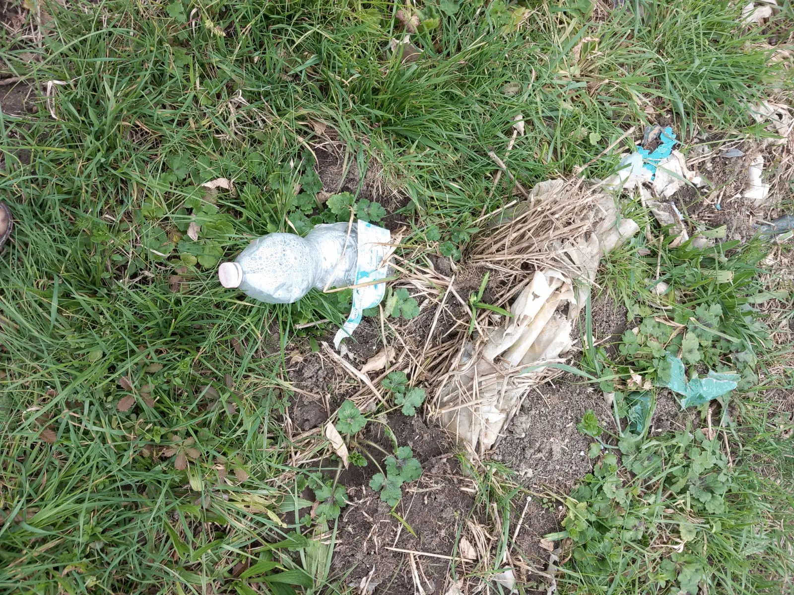 Immagine della giornata
