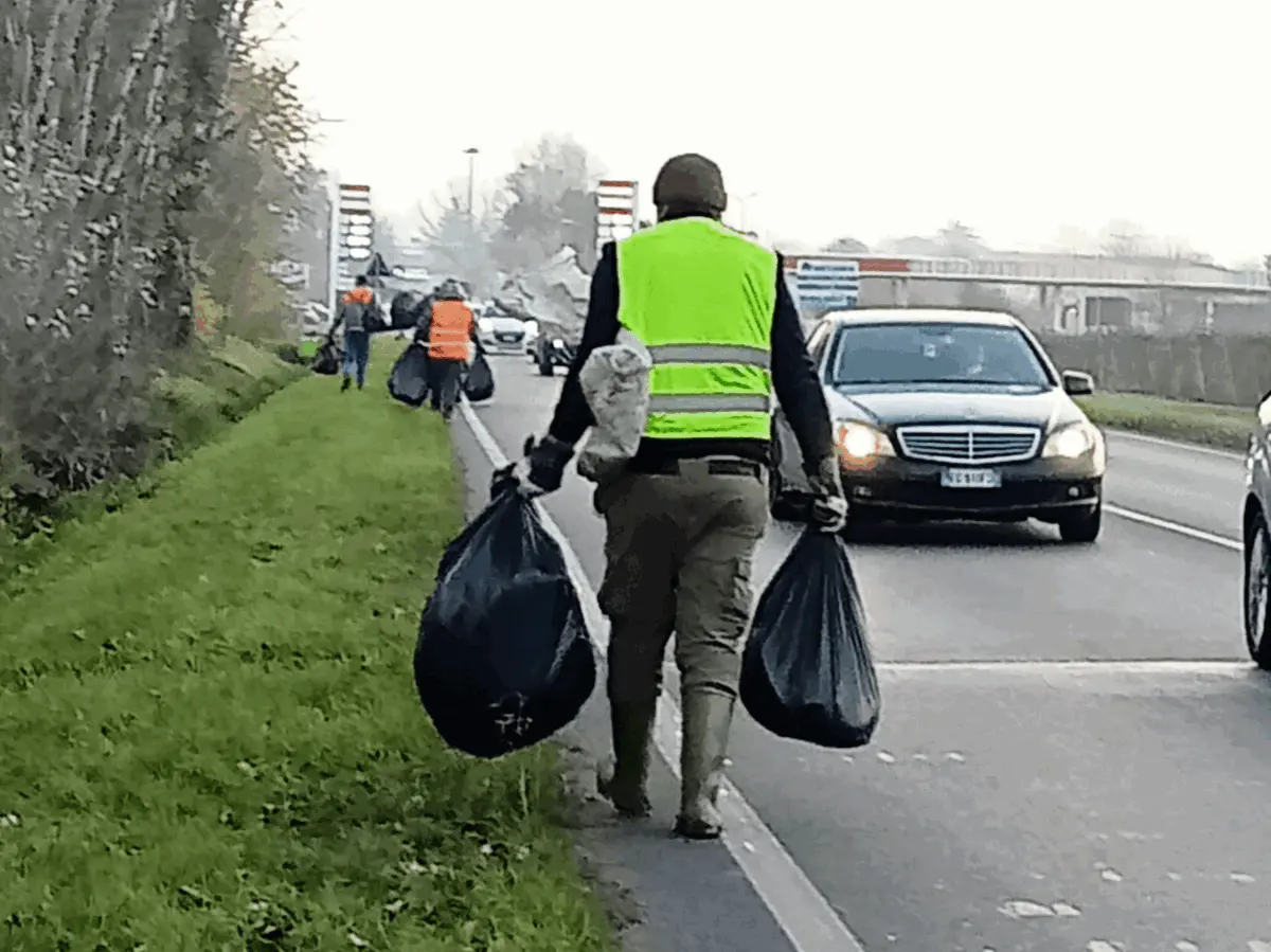 Immagine della giornata