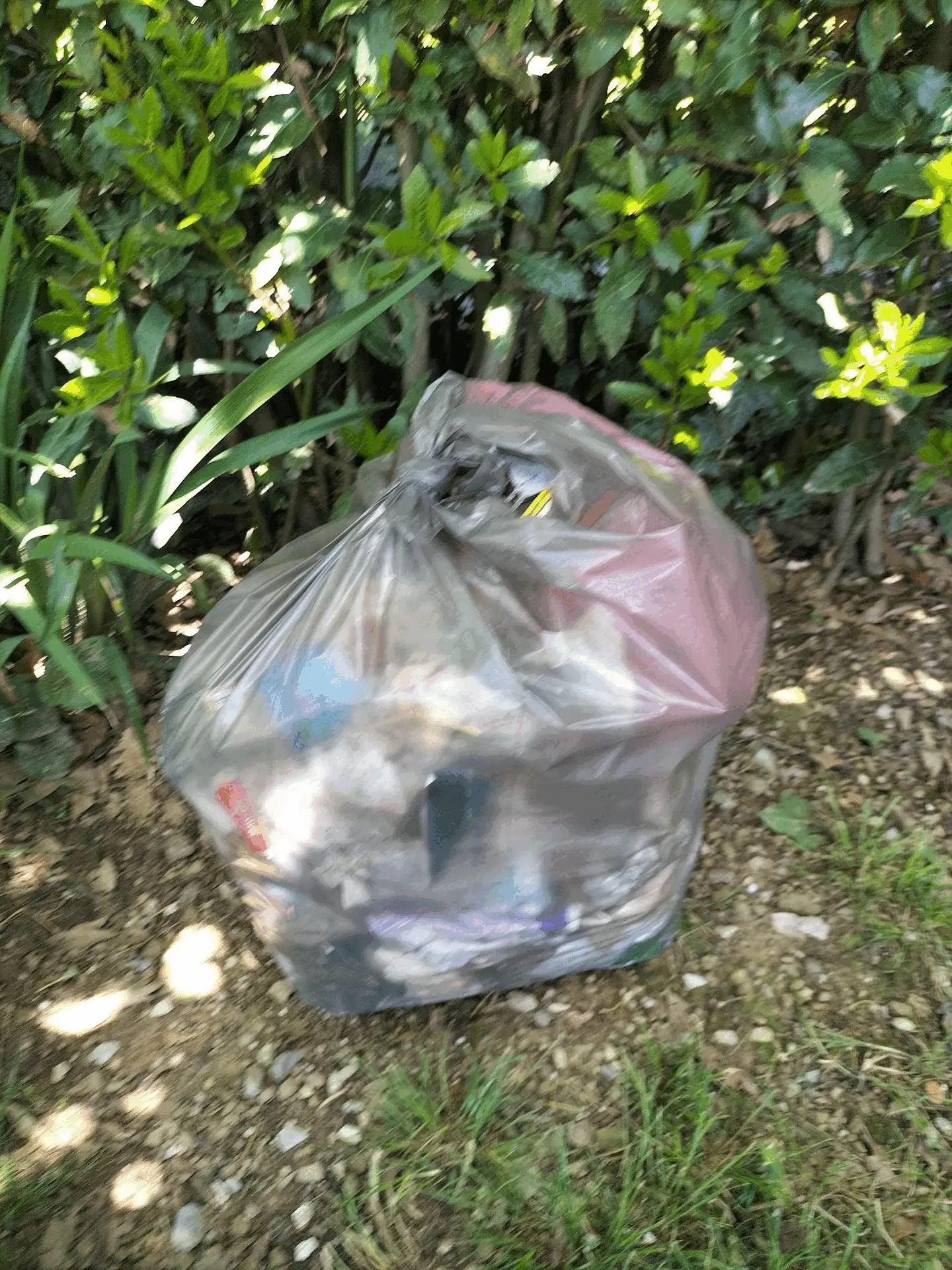 Immagine della giornata