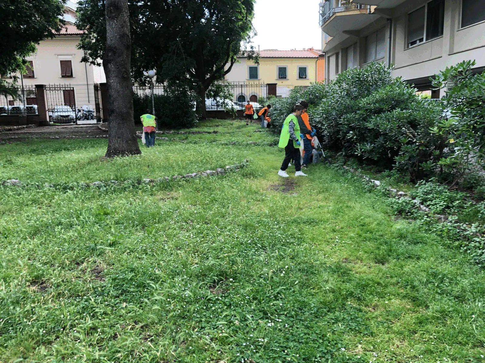 Immagine della giornata
