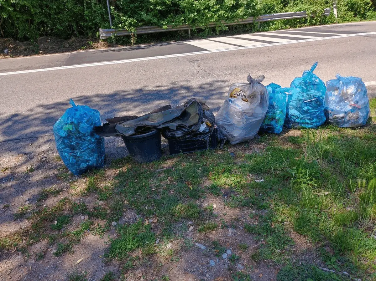 Immagine della giornata