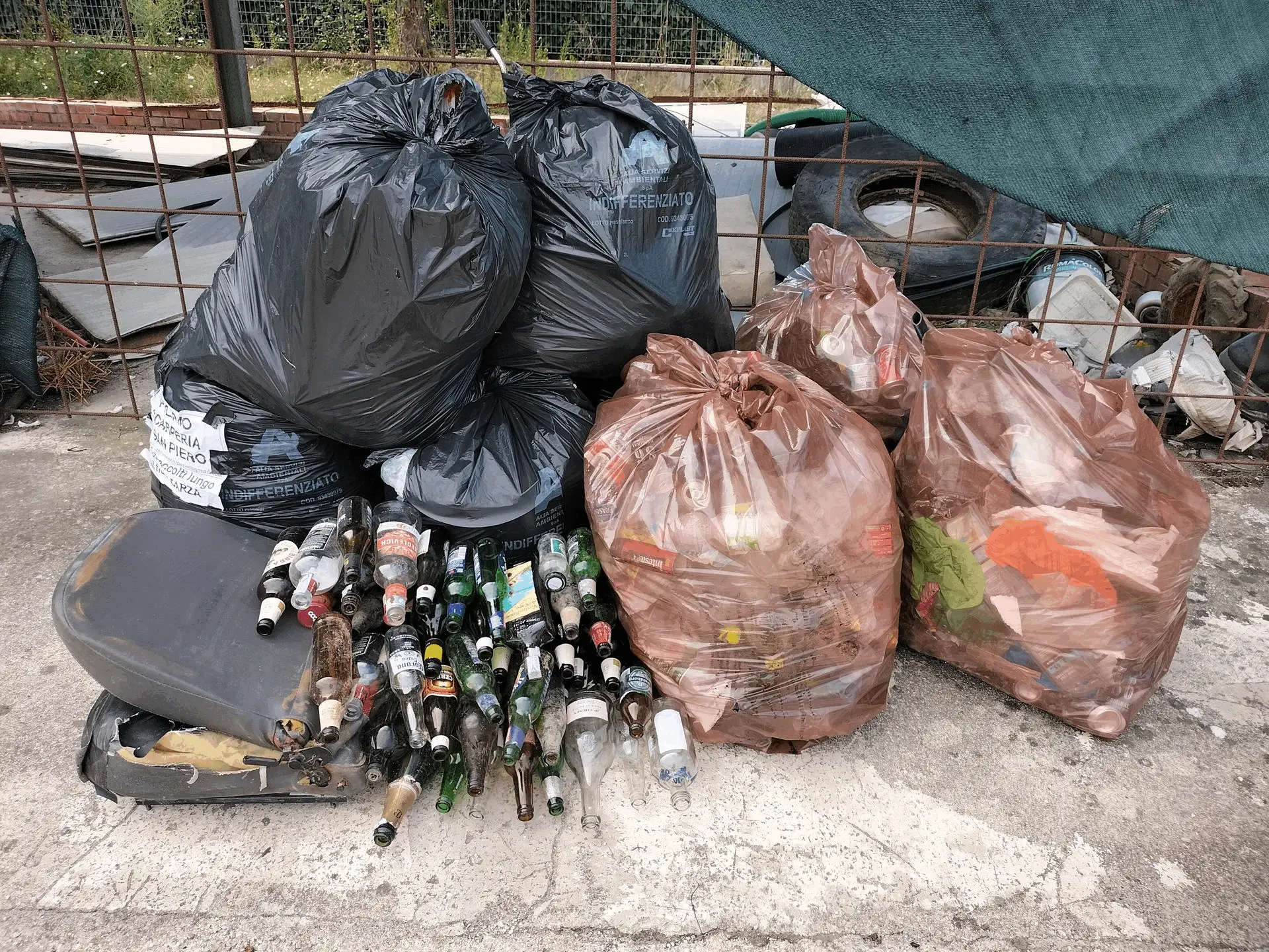 Immagine della giornata