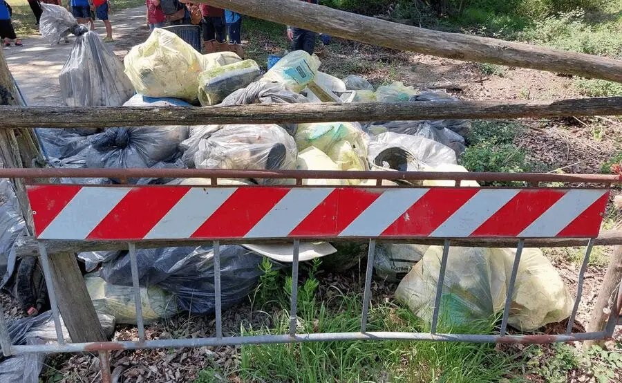 Immagine della giornata