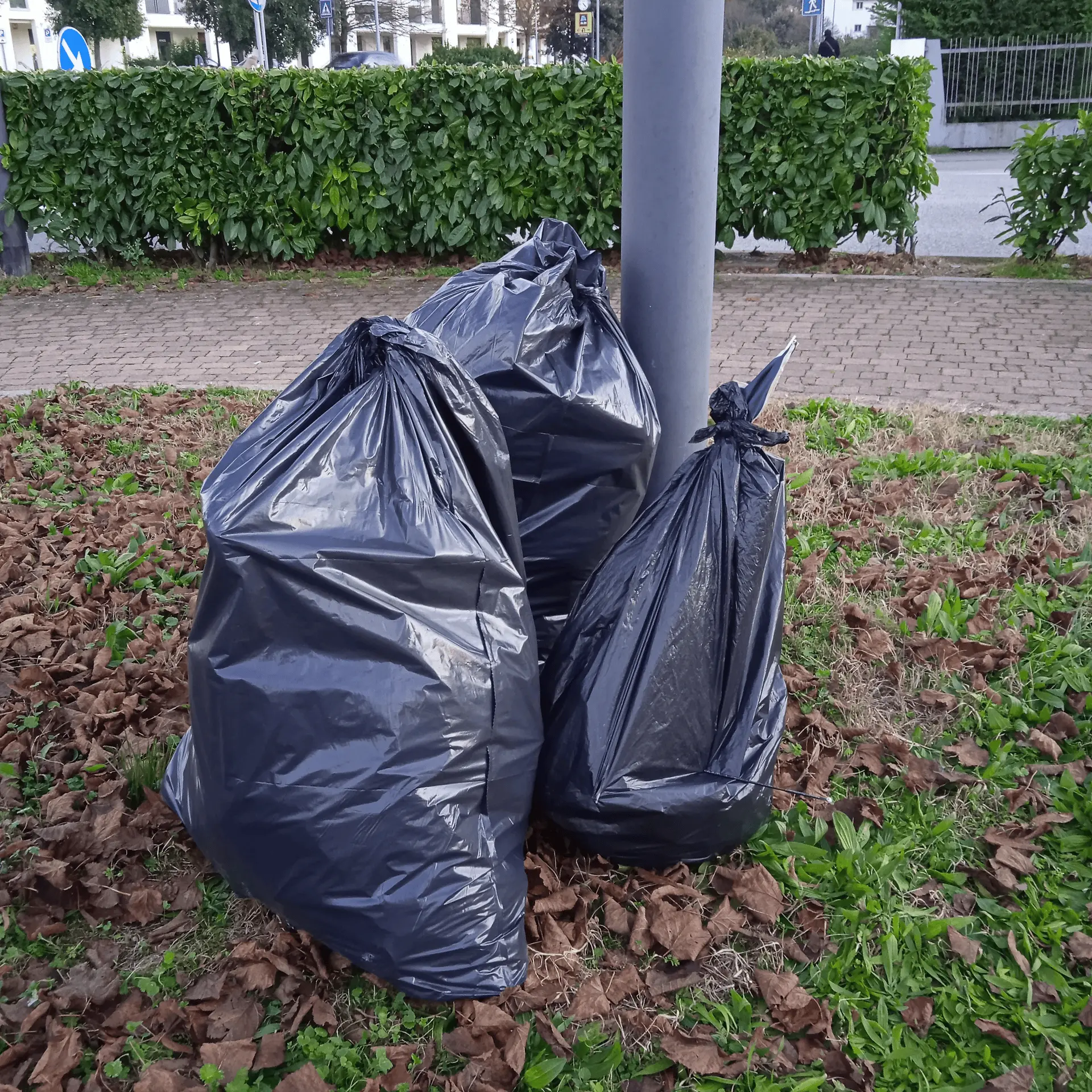 Immagine della giornata