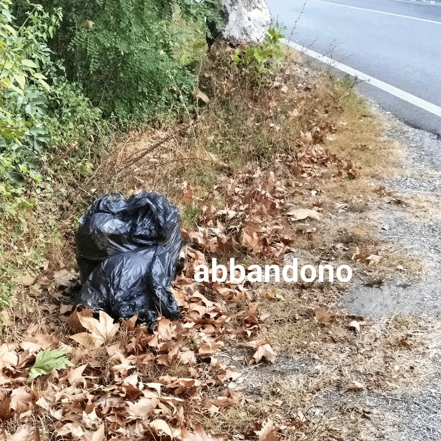 Immagine della giornata