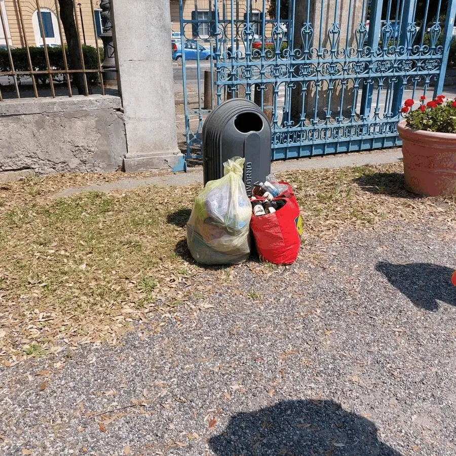 Immagine della giornata