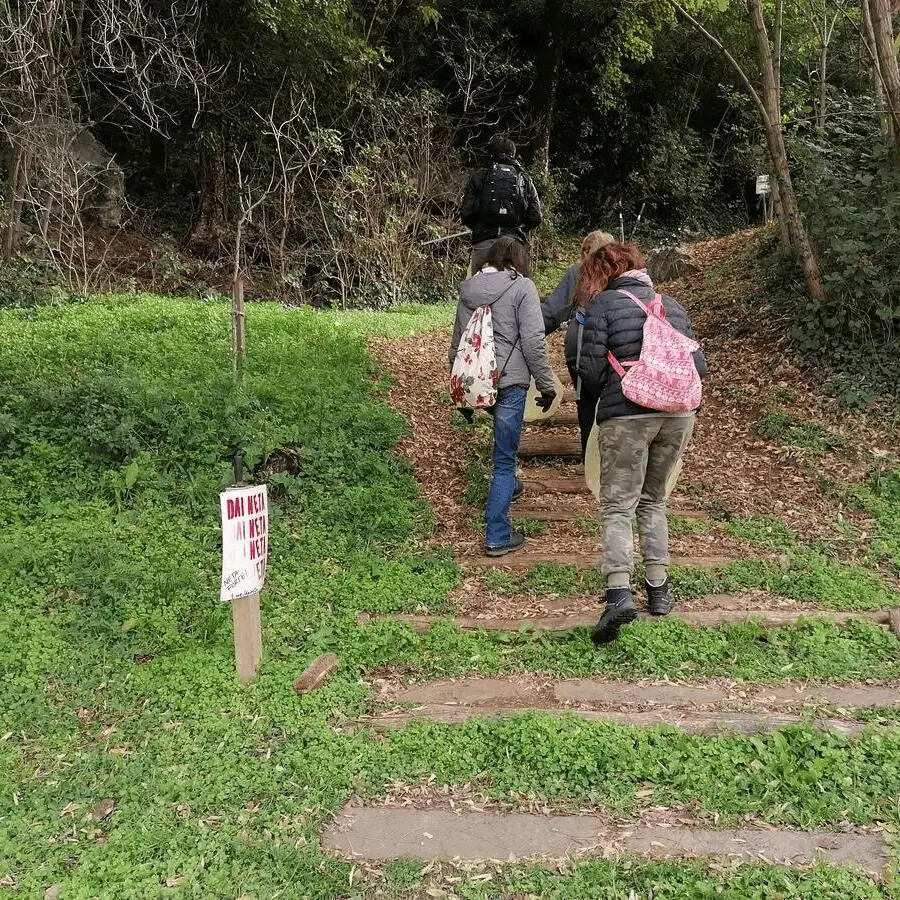 Immagine della giornata