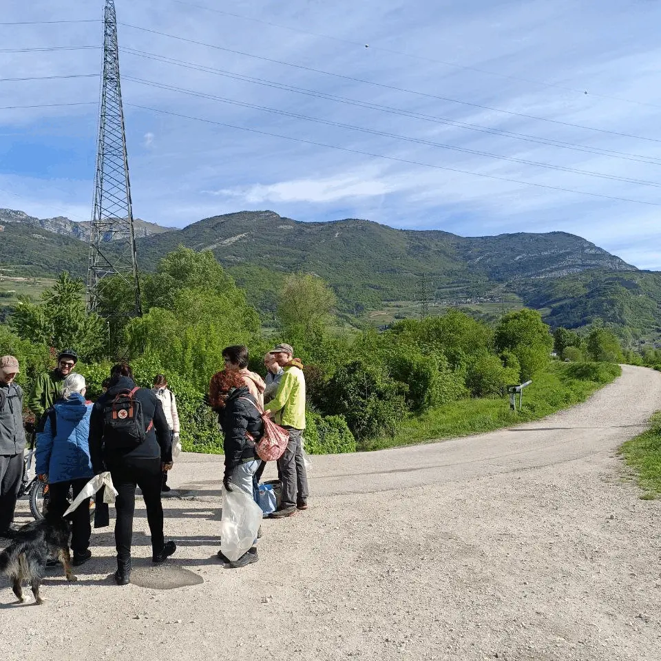 Immagine della giornata