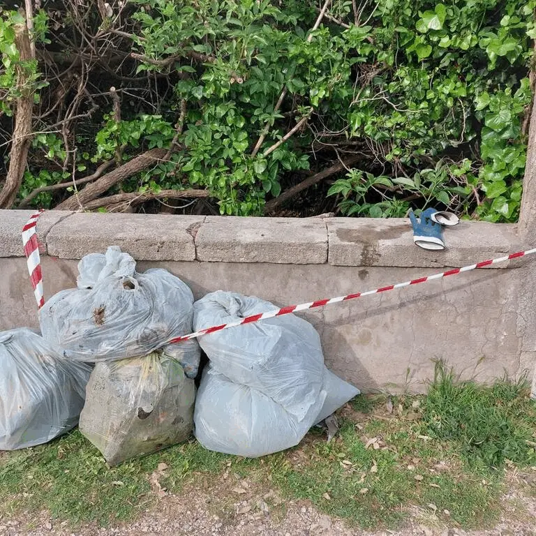 Immagine della giornata