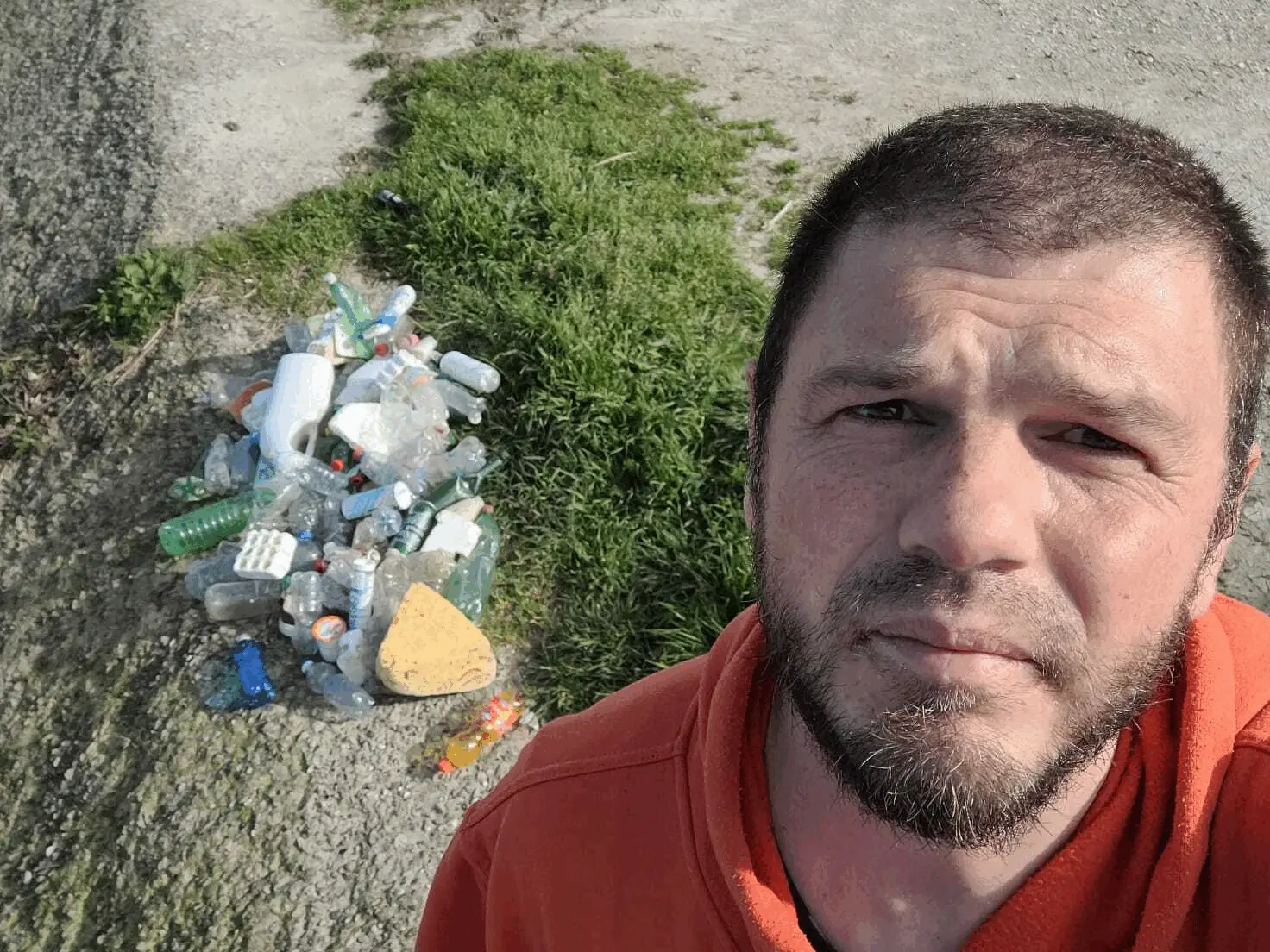 Immagine della giornata
