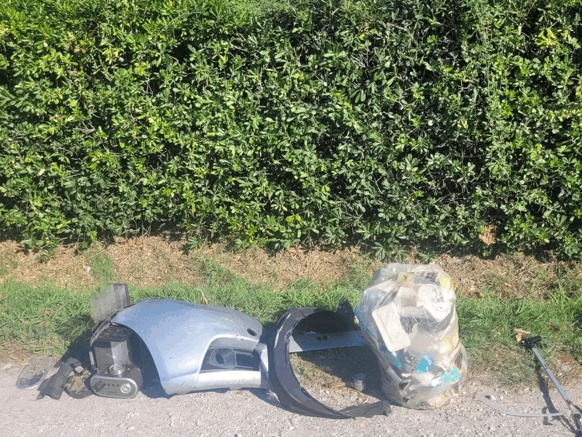 Immagine della giornata