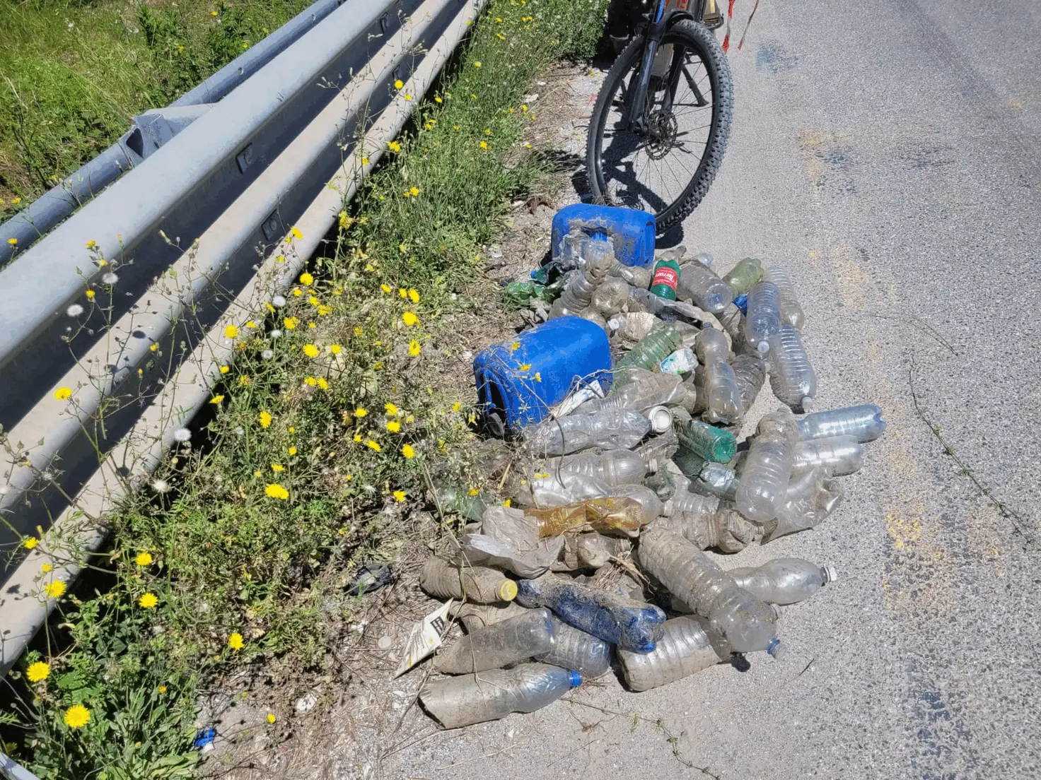 Immagine della giornata