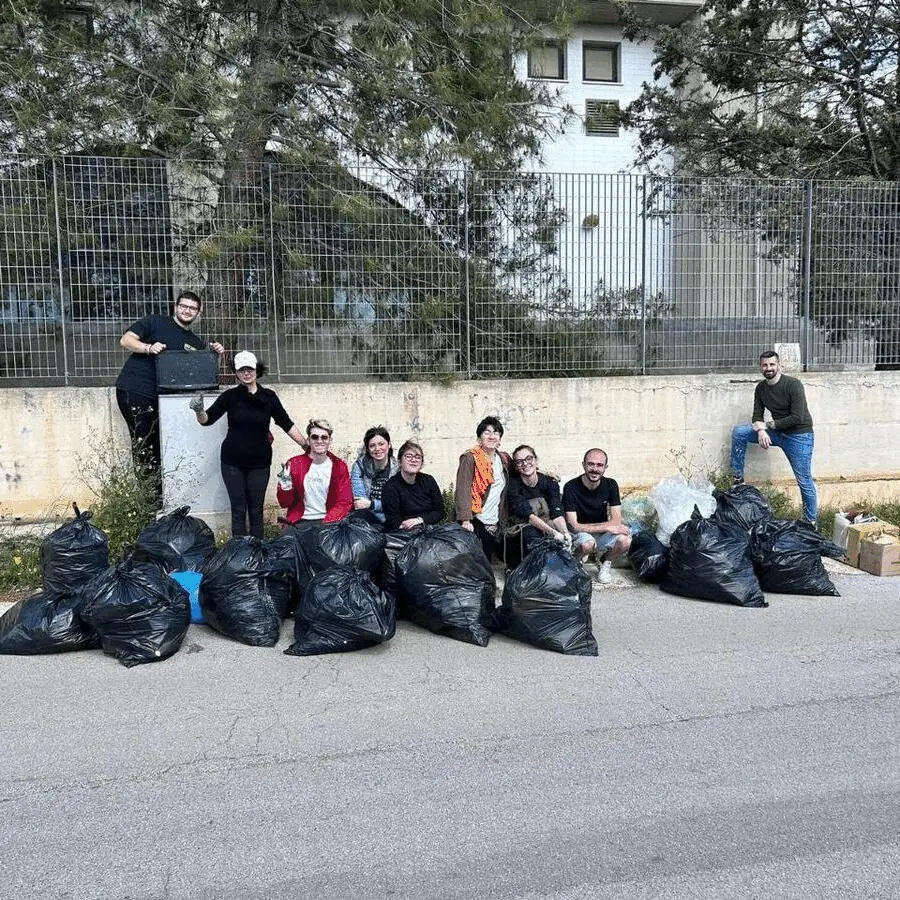 Immagine della giornata