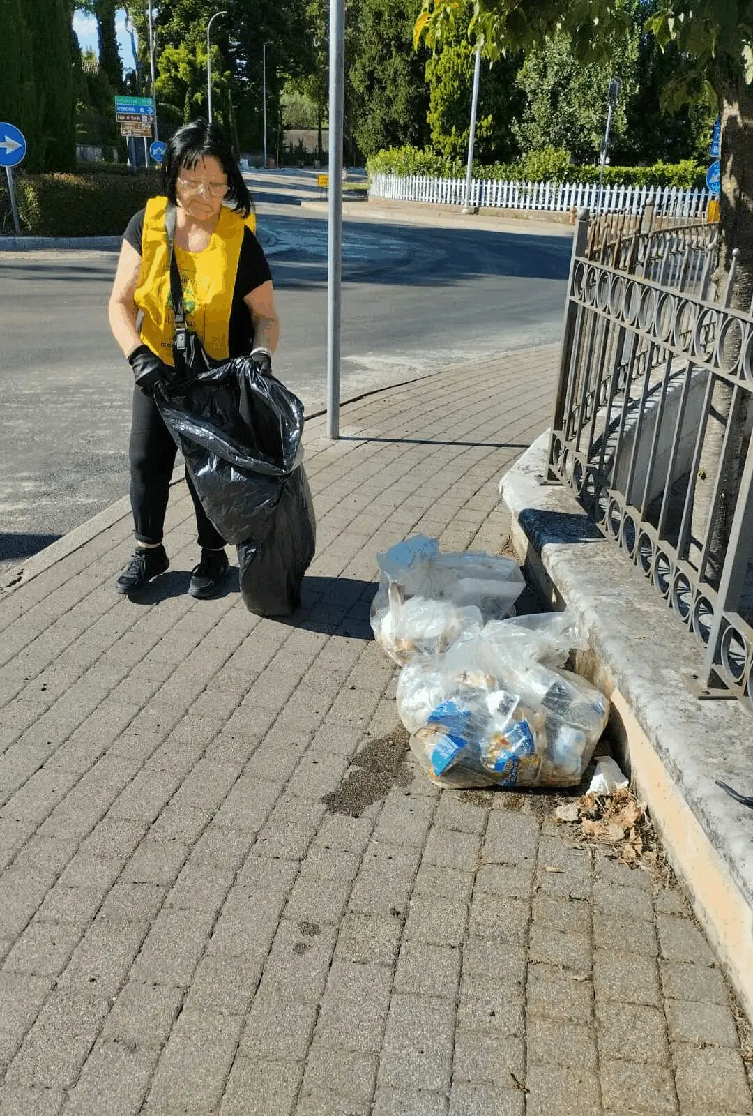 Immagine della giornata