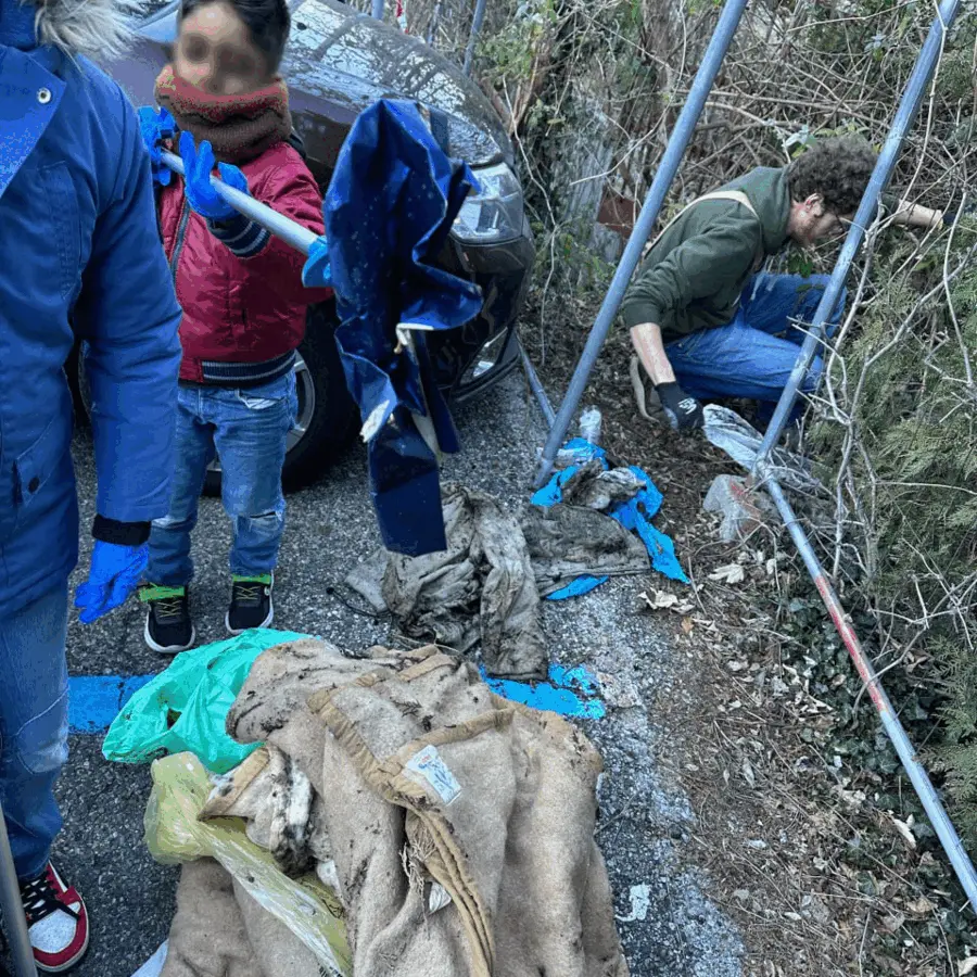 Immagine della giornata