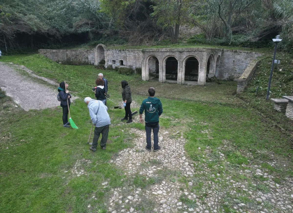 Immagine della giornata