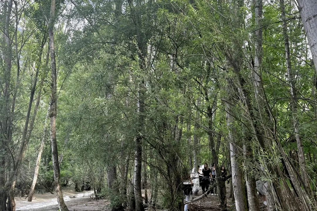 Immagine della giornata