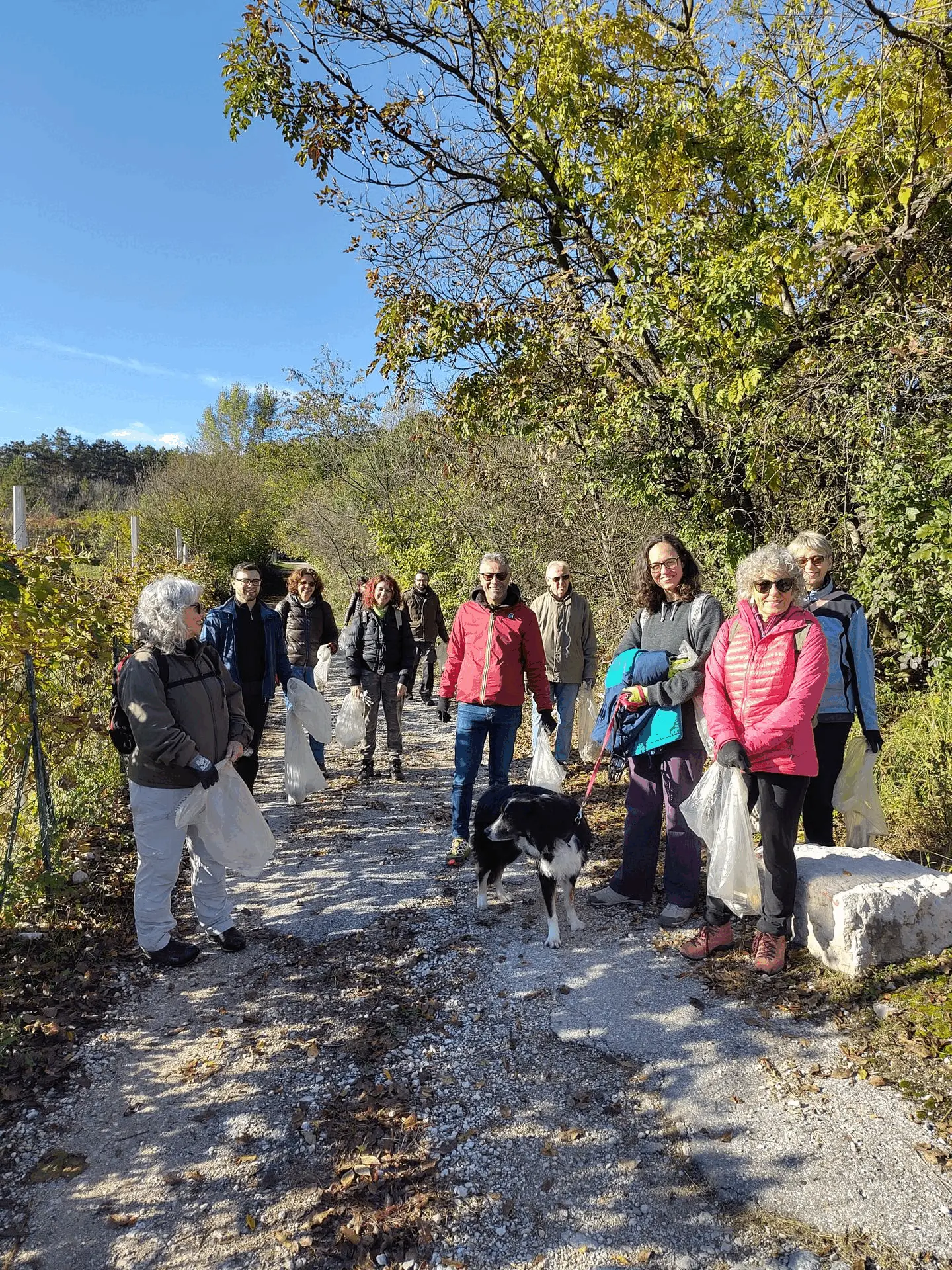 Immagine della giornata