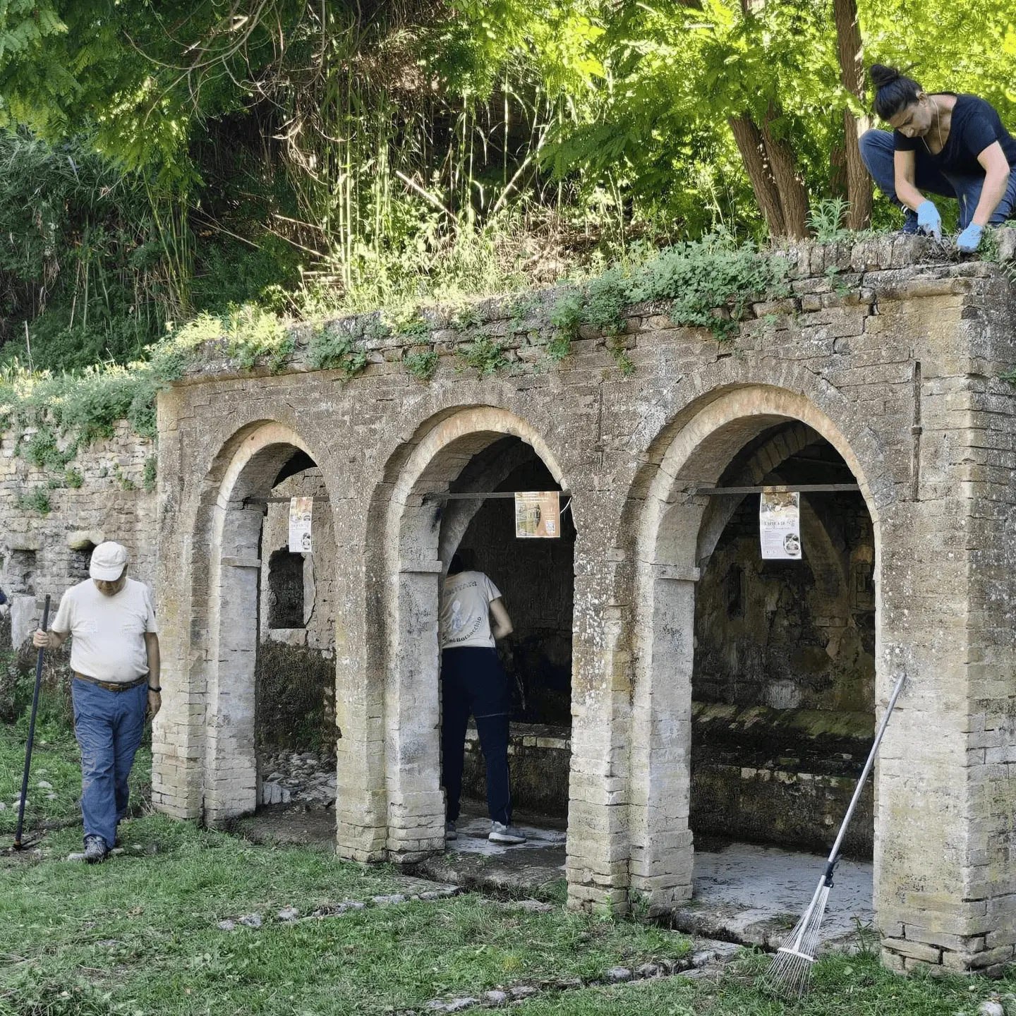 Immagine della giornata