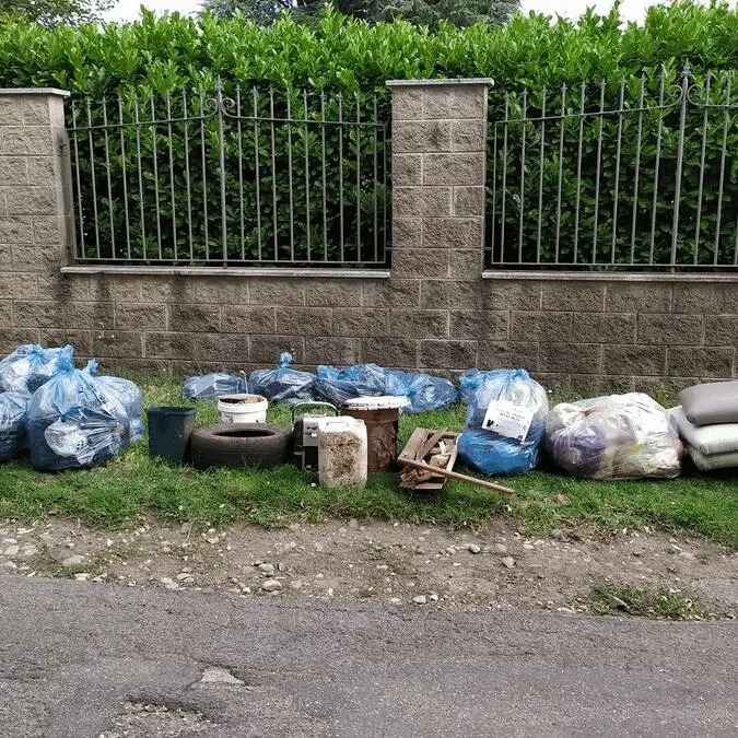 Immagine della giornata