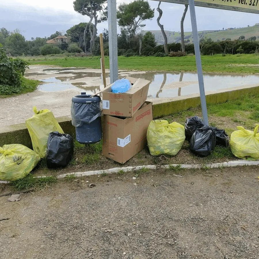 Immagine della giornata