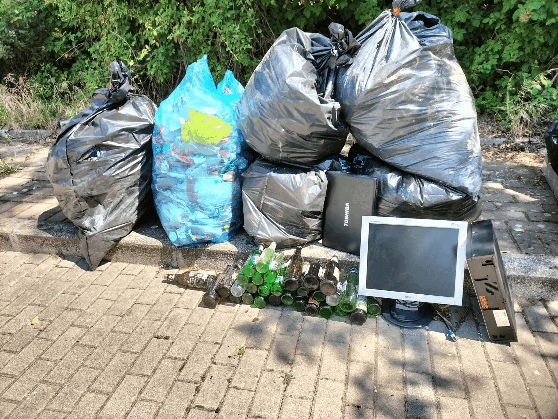 Immagine della giornata