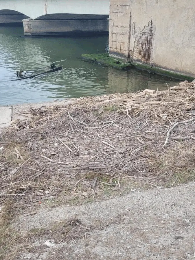 Immagine della giornata