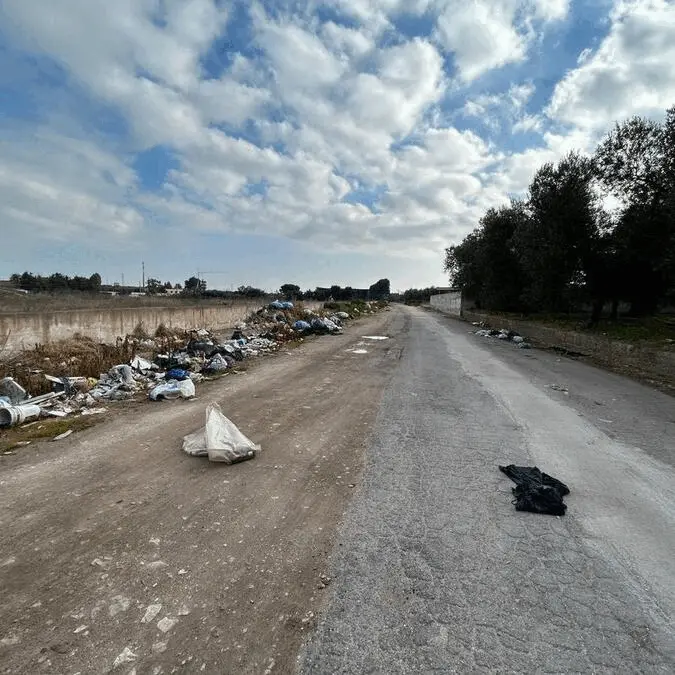 Immagine della giornata