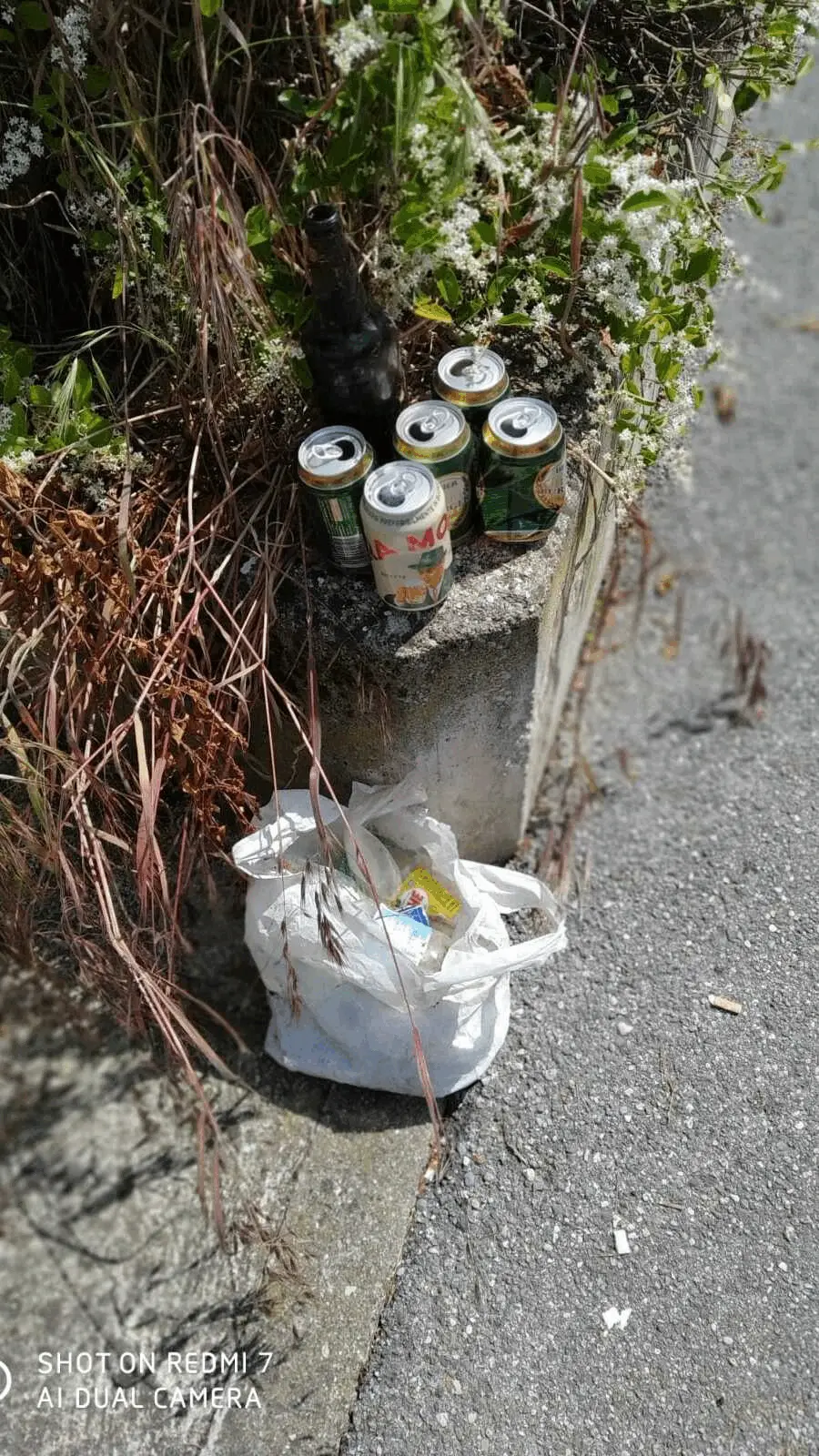 Immagine della giornata