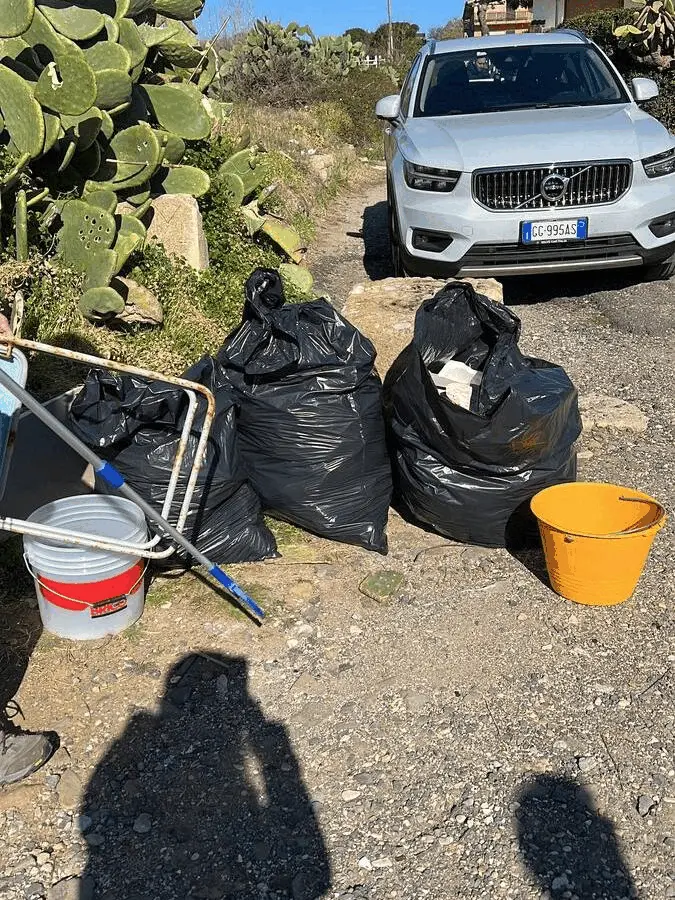 Immagine della giornata