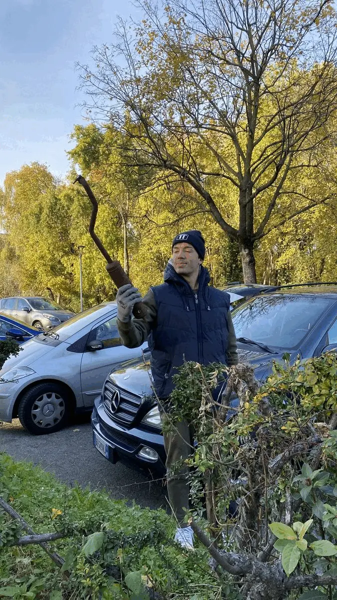 Immagine della giornata