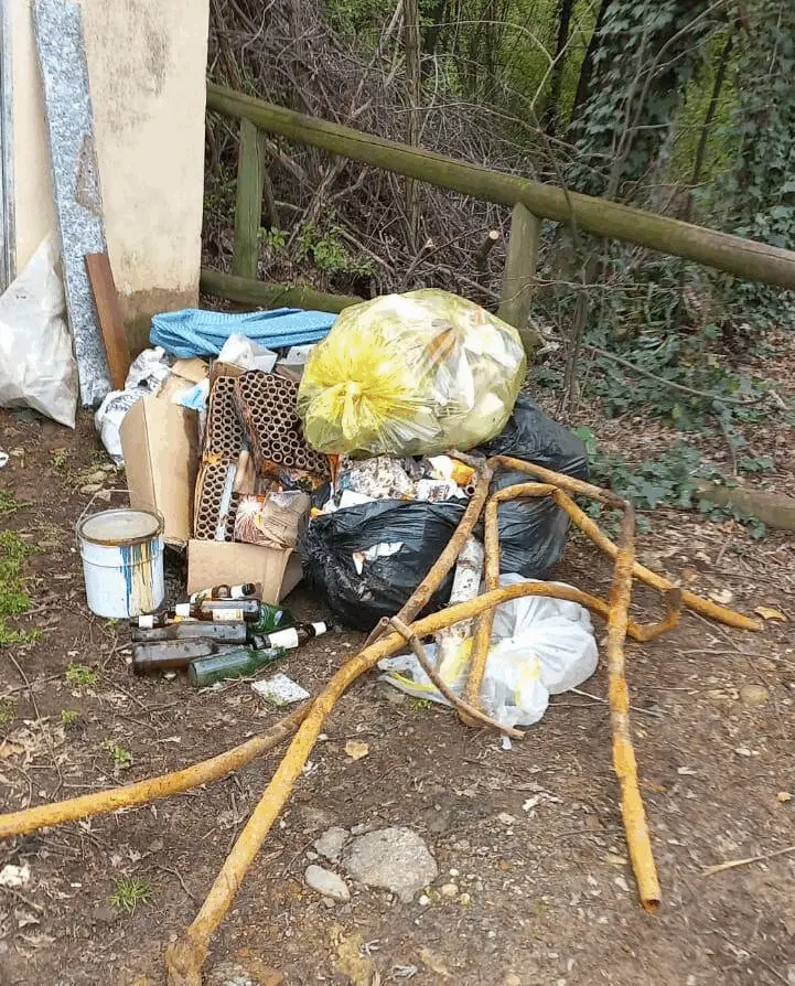 Immagine della giornata