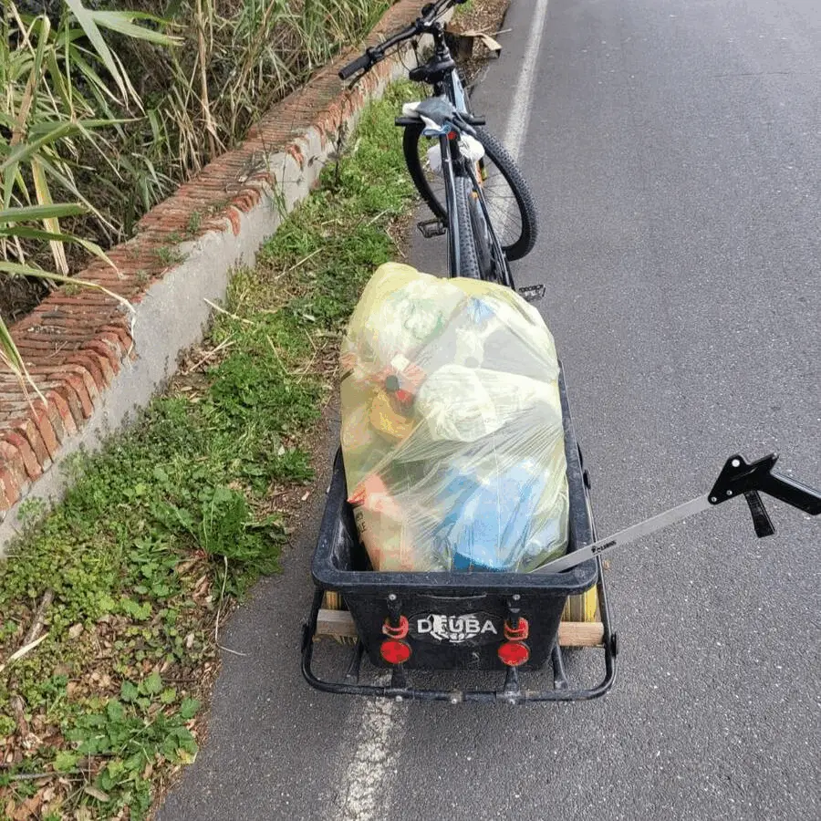 Immagine della giornata