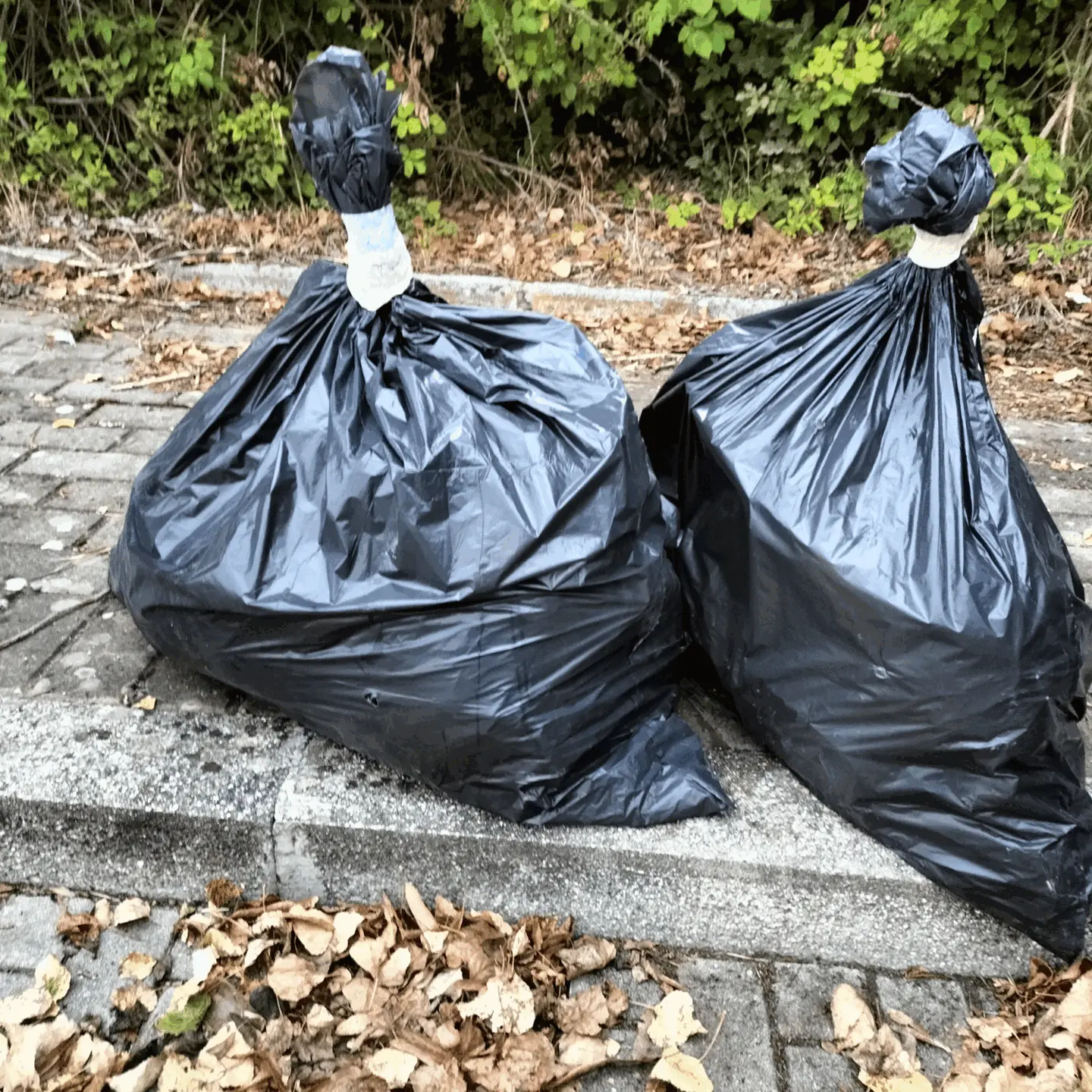 Immagine della giornata
