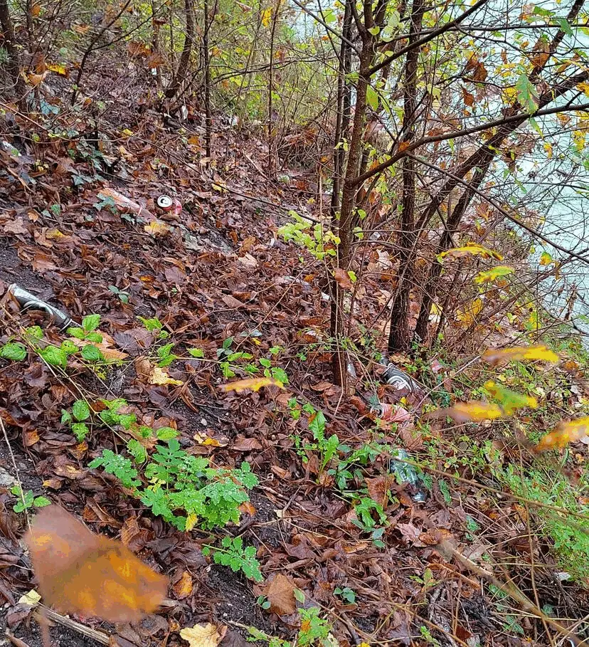 Immagine della giornata