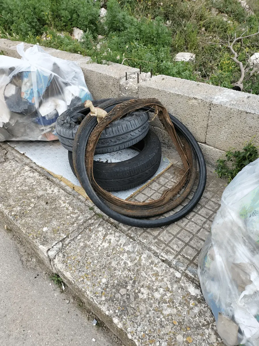 Immagine della giornata